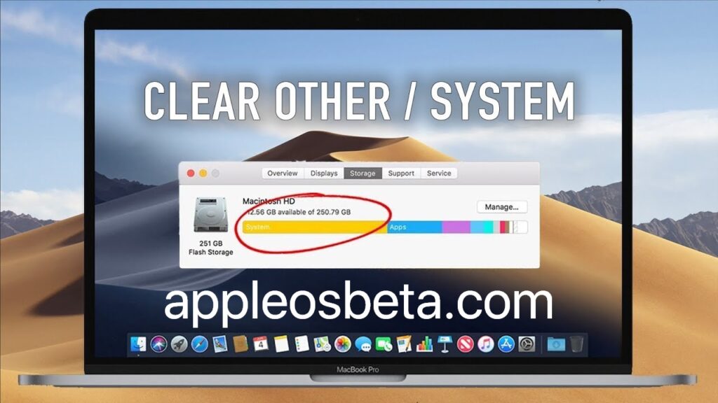 How to delete Other storage on the Mac