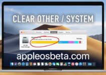 How to delete Other storage on the Mac