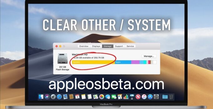 How to delete Other storage on the Mac