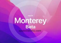 How to downgrade macOS 12 Monterey beta to macOS Big Sur