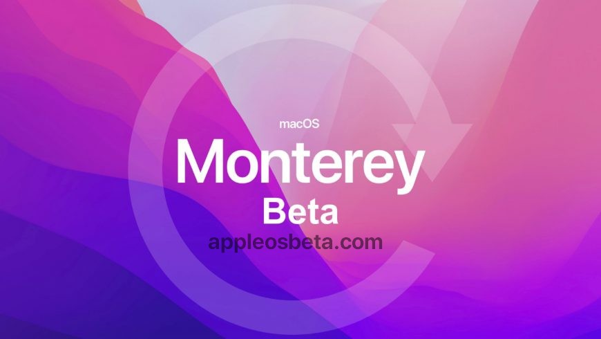 How to downgrade macOS 12 Monterey beta to macOS Big Sur