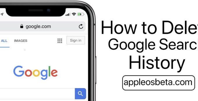 How to Delete Google Search History on iPhone