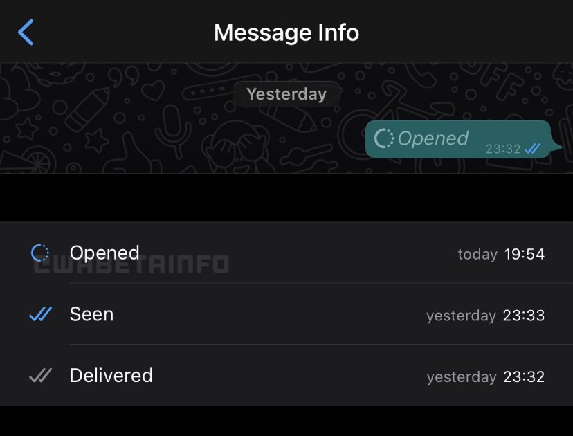 disappearing messages
