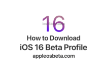 How to download iOS 16 Beta Profile Free Link