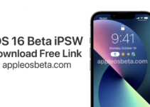 iOS 16 Beta iPSW Download Links