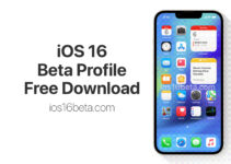 iOS 16 Beta Profile Free Download Link