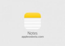 How to Scan Text in Notes on iPhone?