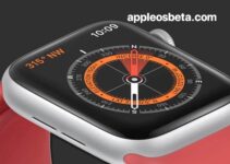 How to use the Compass on Apple Watch?