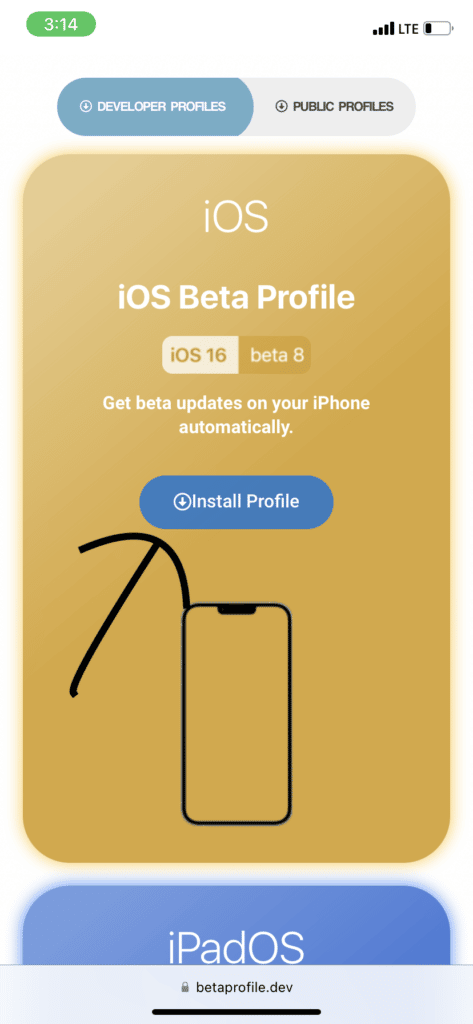 Download Beta Profiles