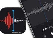 Voice recorder on iPhone and iPad: how to improve the quality of voice notes with one tap?