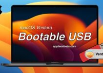 How do I download the full macOS Ventura installer to write to a flash drive?