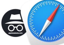 How to Always Run Safari on Mac in Private Browsing (Incognito) Mode?