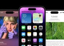 Apple’s request to Samsung for the dynamic island of the iPhone 14 Pro