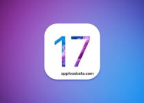 All about iOS 17, the operating system that was born with iPhone 15
