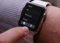 How to customize auto replies for messages from Apple Watch?