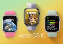 How to install watchOS 10 public beta?